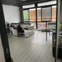 Shanghai Constant Soaring Co.,LTD