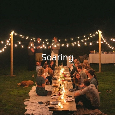 LED Crystal Ball LED Solar Lamp Power LED String Fairy Lights Garlands Garden Christmas Decor for Outdoor