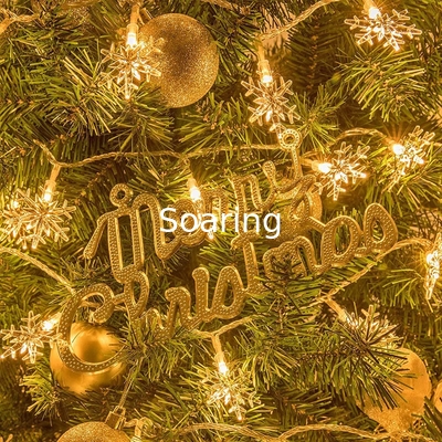 LED Snowflake Lights String Lights Christmas Holiday Home Garden Patio Party Decoration Indoor Outdoor Celebration Light